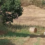 Molino Della Tuoma San Quirico d'Orcia