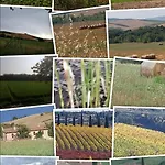 Molino Della Tuoma *