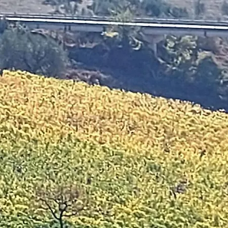 Molino Della Tuoma דירה *