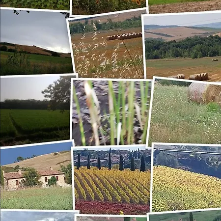 Molino Della Tuoma *